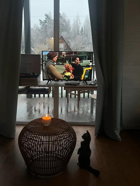 Уютный теплый дом с выходом в лес, 40 минут от Москвы со своей территорией