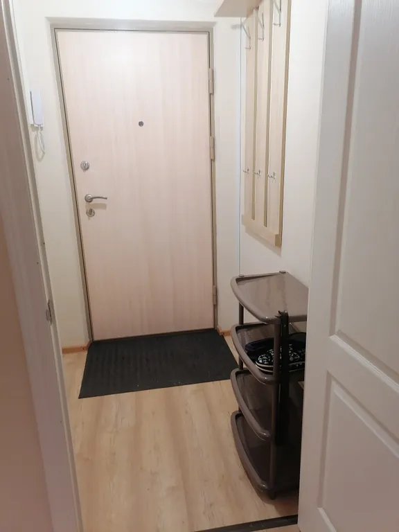 Комфортная студия в тридцати минутах от Петергофа