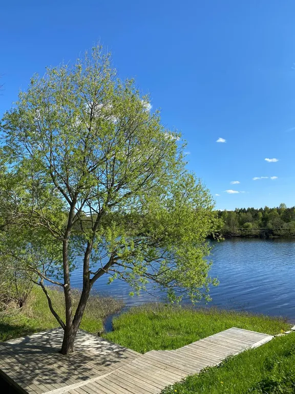 Дом Шива на берегу реки Медведицы