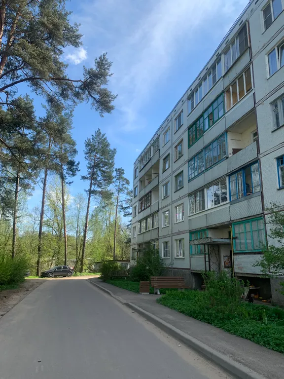 Квартира сосны