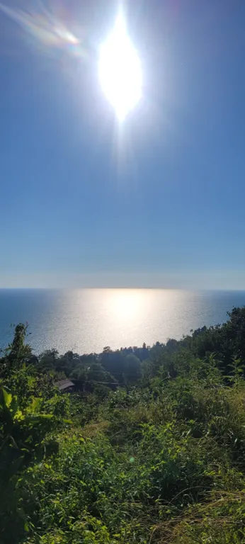 Гостевой дом Горный кедр