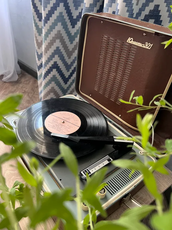 Ламповая квартира Vinil