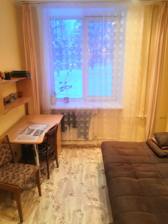 Комната с видом на парк лес, зелень