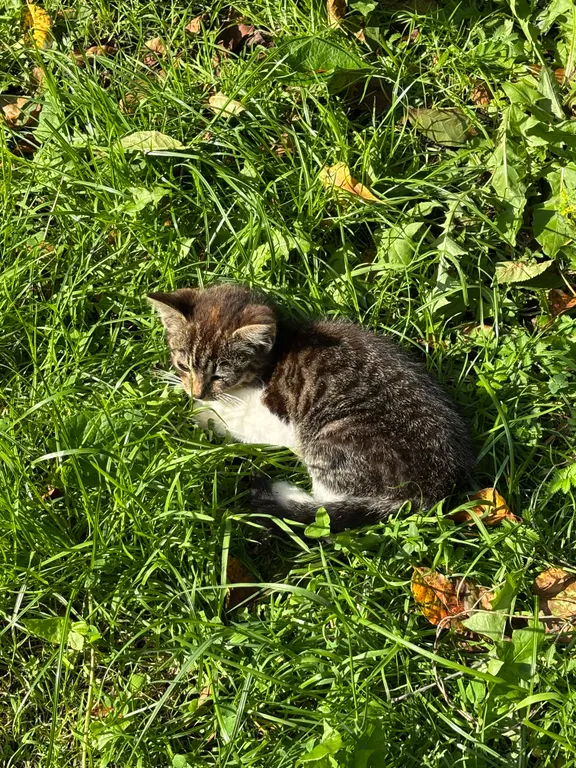 Двухкомнатный модуль в атмосферном Пространстве на море