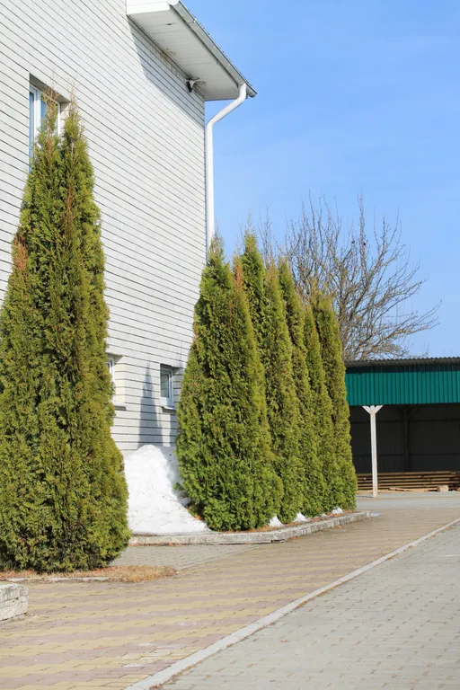 Двухэтажный дом за городом