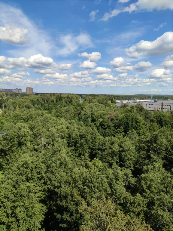 Квартира с просторной кухней-гостиной и видом на лес