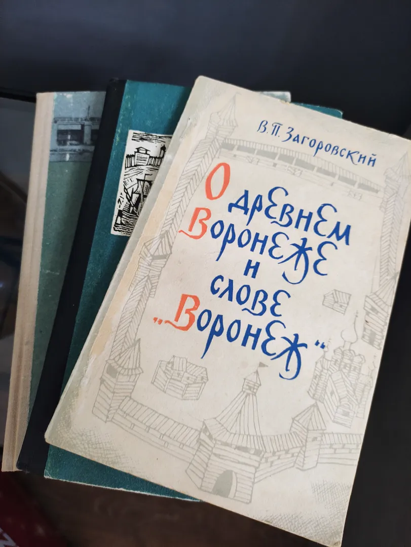 Студия посуточно, Воронеж, Загоровского улица, 1, объявление 1743526 —  Суточно.ру