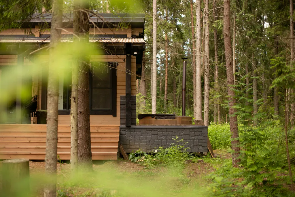 Дом в лесу - с фурако