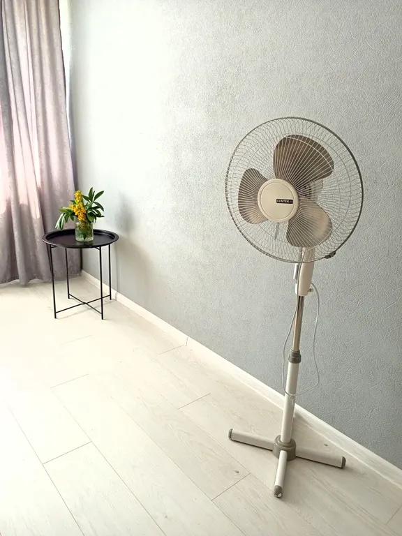 Студия в центре