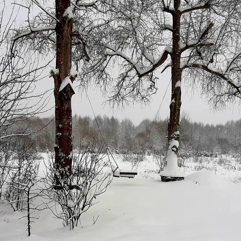 Усадьба Береговая