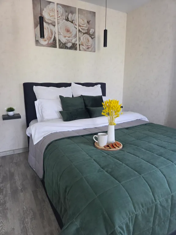 1 комнатная квартира в центральном районе — аренда посуточно в Тверь