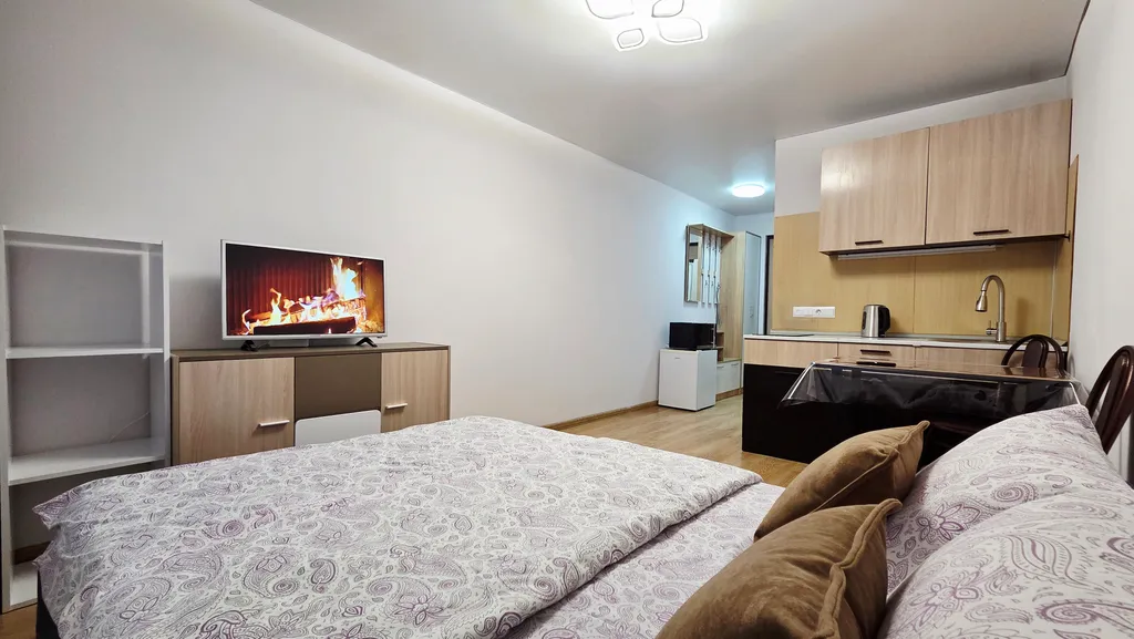 Квартира Квартира Студия с видом на парк Лосиный остров — Москва