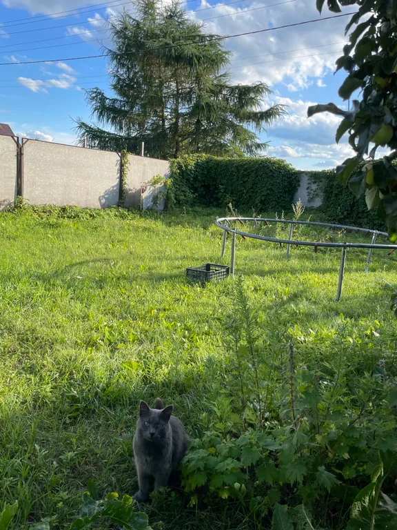 Коттедж Дом для отдыха компанией до 10 человек — Новая Ладога