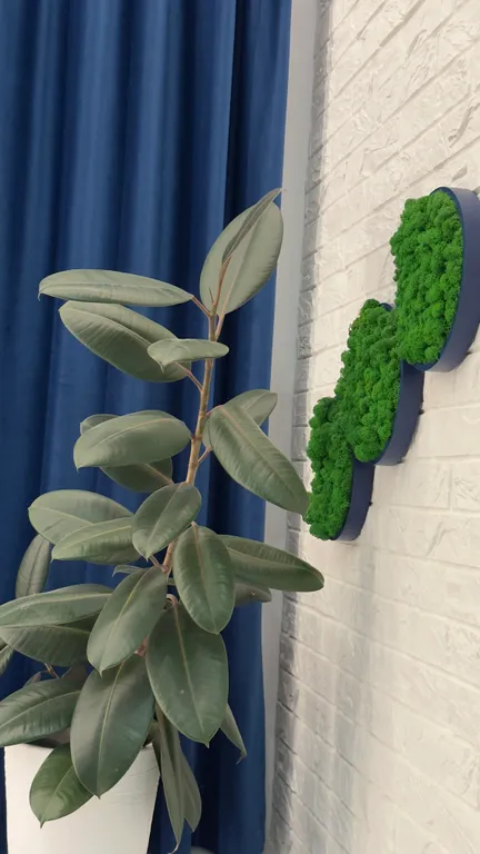 Квартира Квартира Ваш уголок комфорта — Калининград