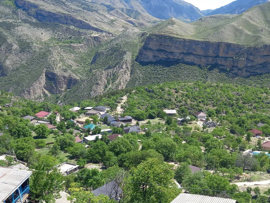 Дружба народов