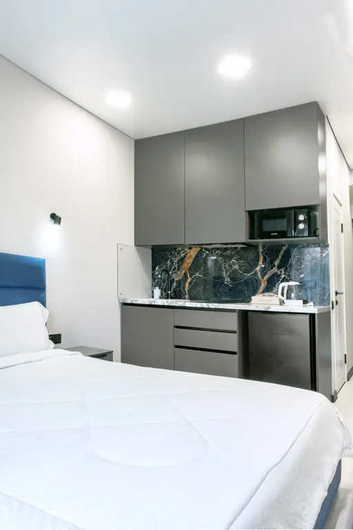 Квартира 1-комнатная Квартира — Сириус