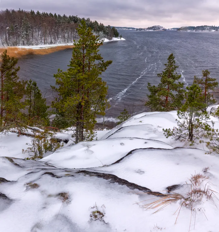 Дом с видом на Ладожское озеро