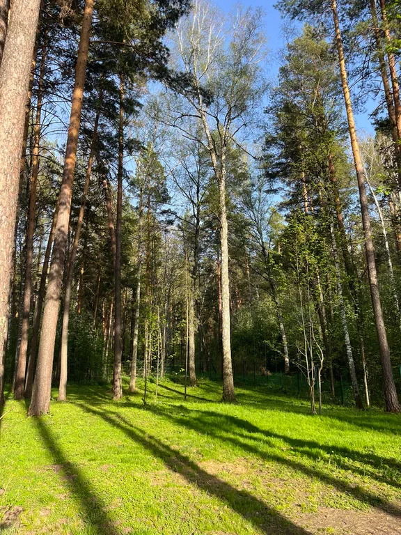 Гостевая часть дома в сосновом бору у реки