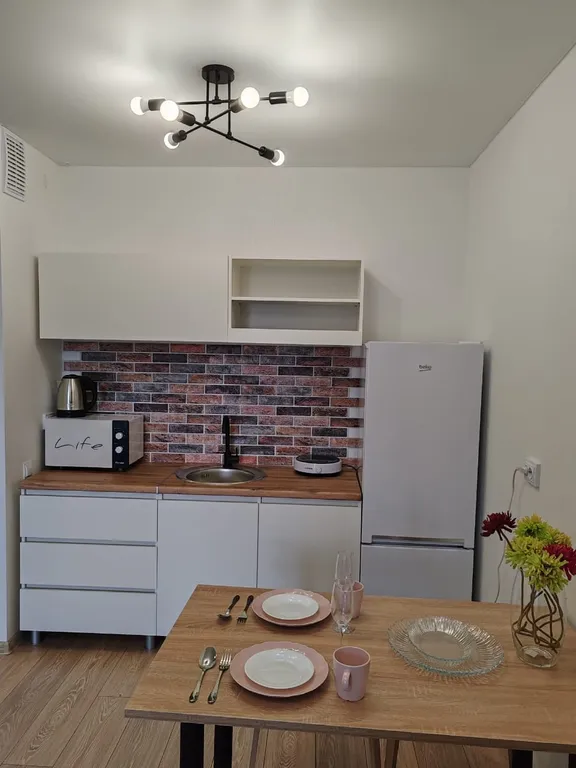 Квартира Видoвая еврoдвушка в красивeйшем угoлке — аренда посуточно в Екатеринбург