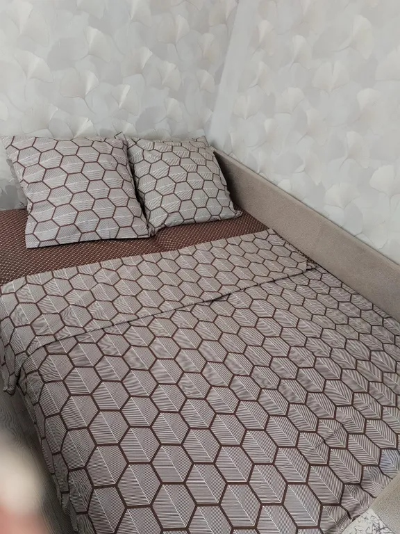 2х-комнатная квартира, центр города, с кондиционером