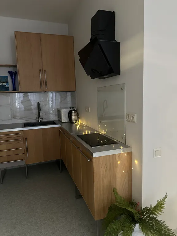 Квартира Квартира в стиле эклектики в 5 минут ходьбы от метро Спартак и Тушинская — Москва