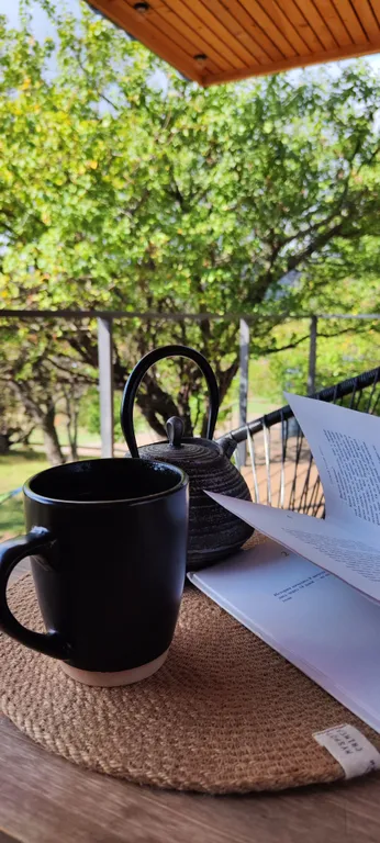 Коттедж 1-комнатный Дом — Лучистое