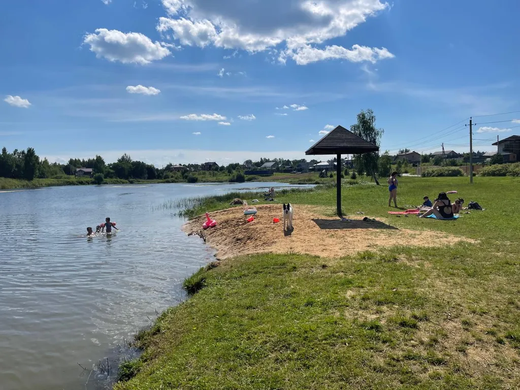 Дом на холме у леса