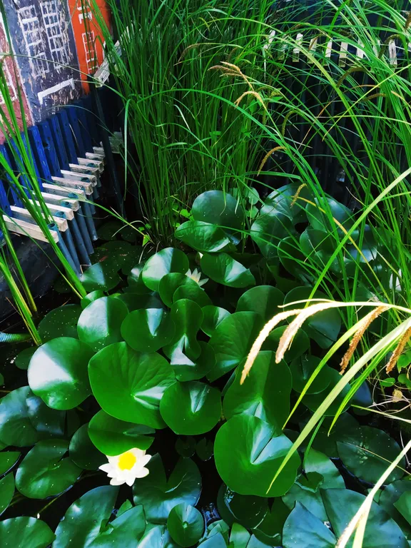 Коттедж Удивительный дом в центре, первый этаж целиком, мангал — Казань