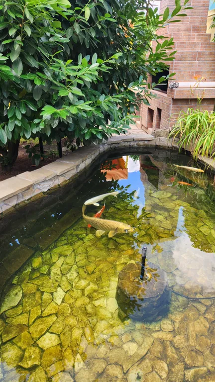 4-комнатный Дом