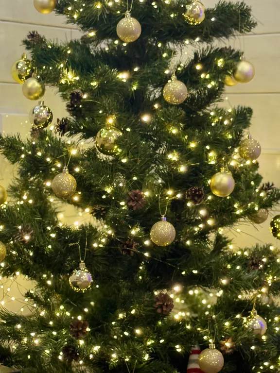 Уютный дом в соснах для семейного отдыха