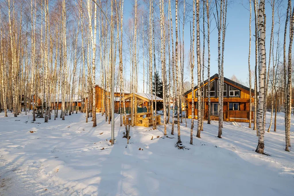 Дом в березовой чаще. Усадьба скульптора Эрьзи