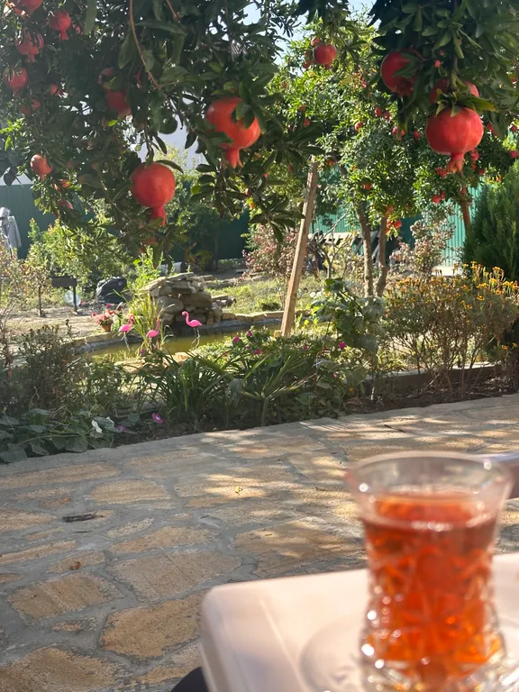 Дачный гостиный дом недалеко от моря