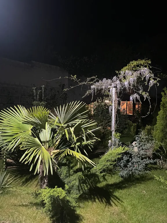 SPA-дом в Ялте. Бассейн круглый год, сауна, 10 соток рая+треккинг.