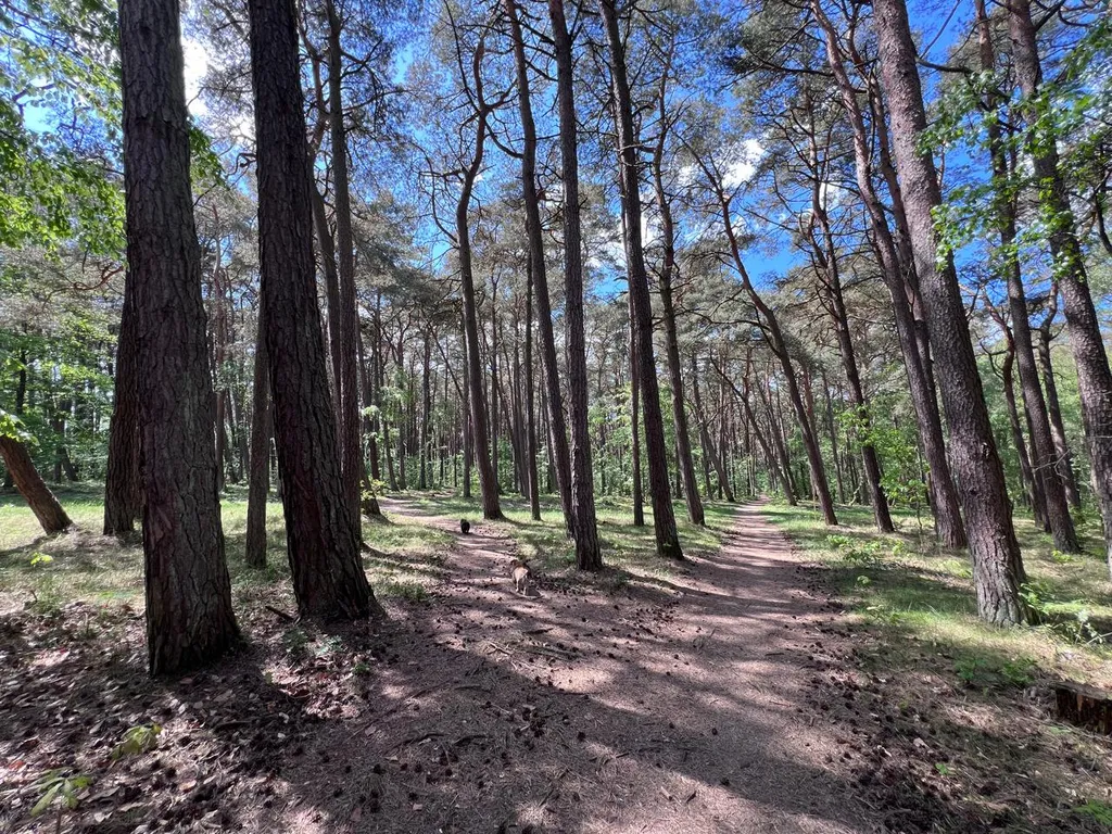 Дом у моря для большой компании