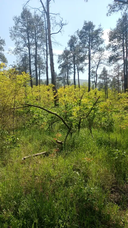 Однокомнатный номер в мини-отеле у Этнографического музея