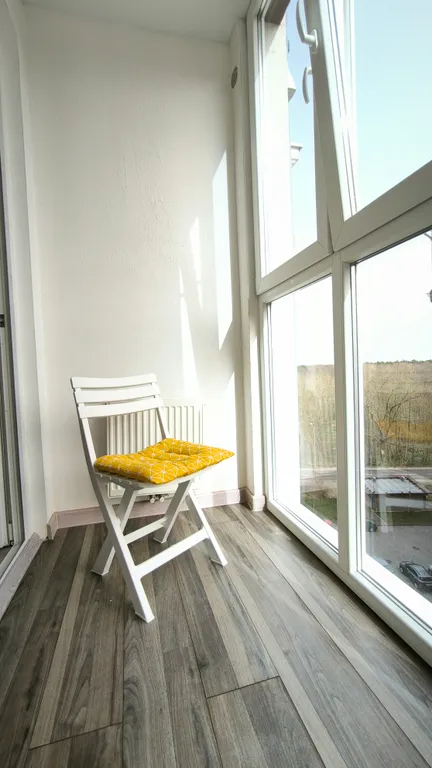 Море лес воздух