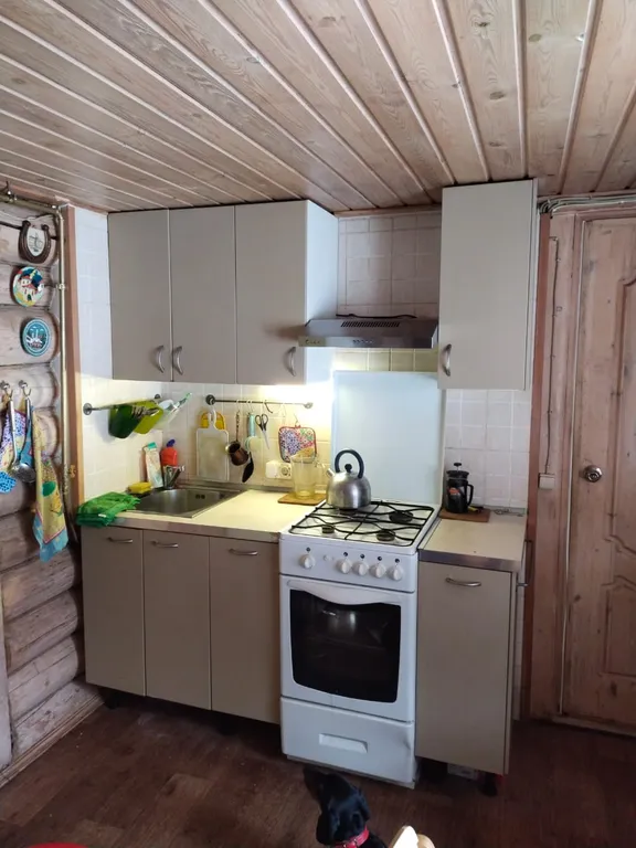 Коттедж Уютный домик в лесу — Агалатово