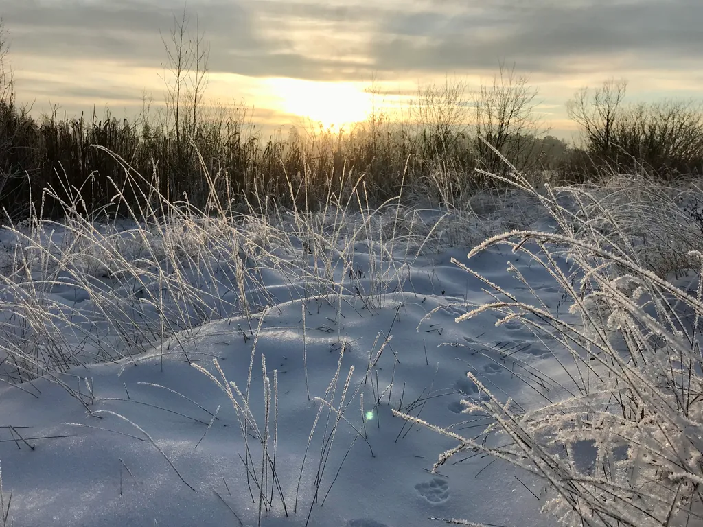 Уютный дом с камином «Сосны и Звёзды»