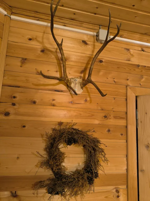 Коттедж Загородный дом с сауной, недалеко от горнолыжных курортов — Светлое