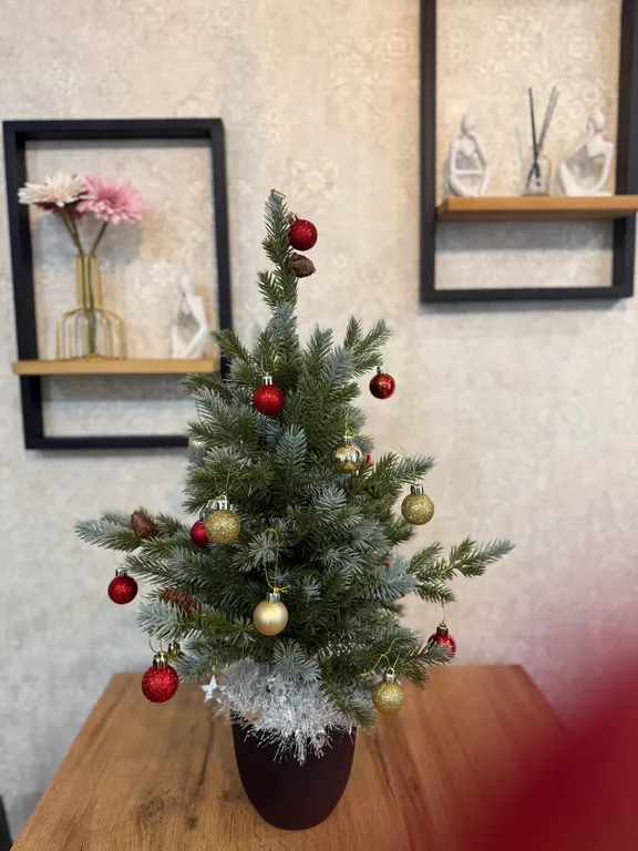 Видовая квартира в центре города