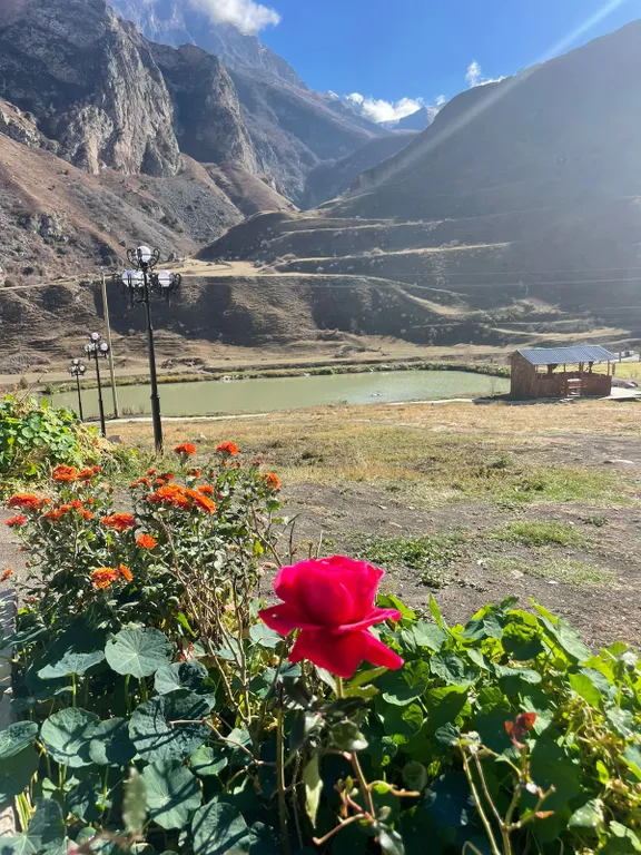 Гостевой дом в горах Безенги