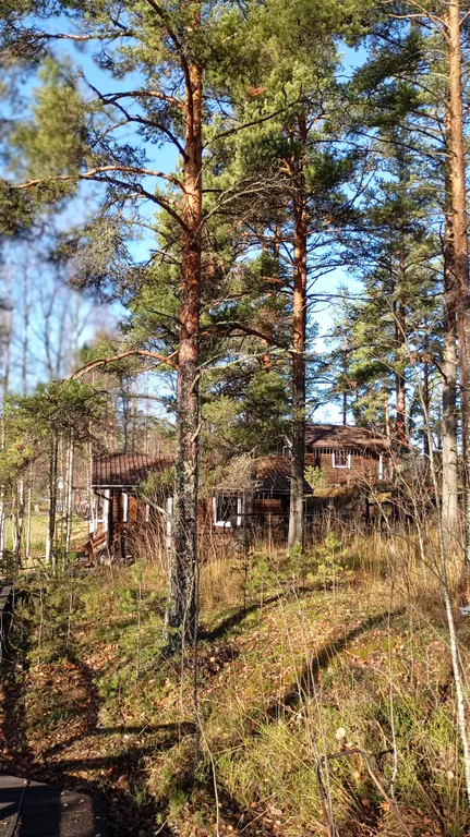 Коттедж на скале