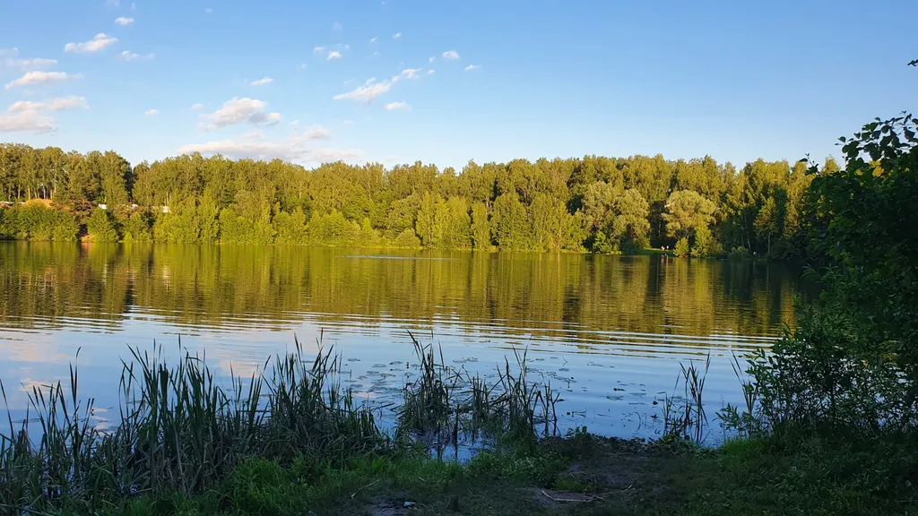 Коттедж Домик гостевой — Нижний Новгород