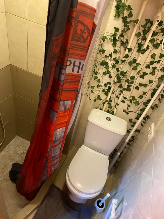 В тихом центре уютная, светлая, чистая однокомнатная квартира Лондон