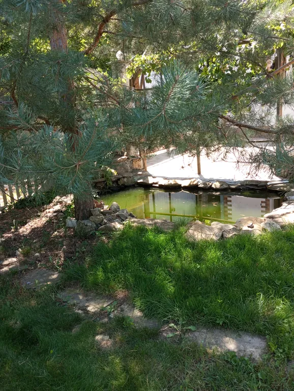 Уютный домик у леса рядом с городом