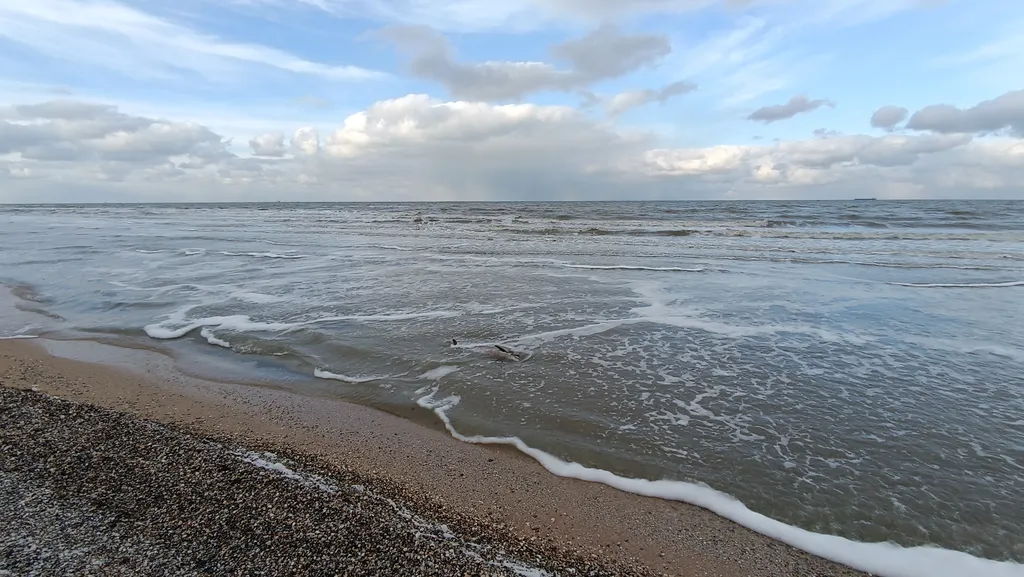 Коттедж Дом из бруса на участке 6 соток — Кучугуры