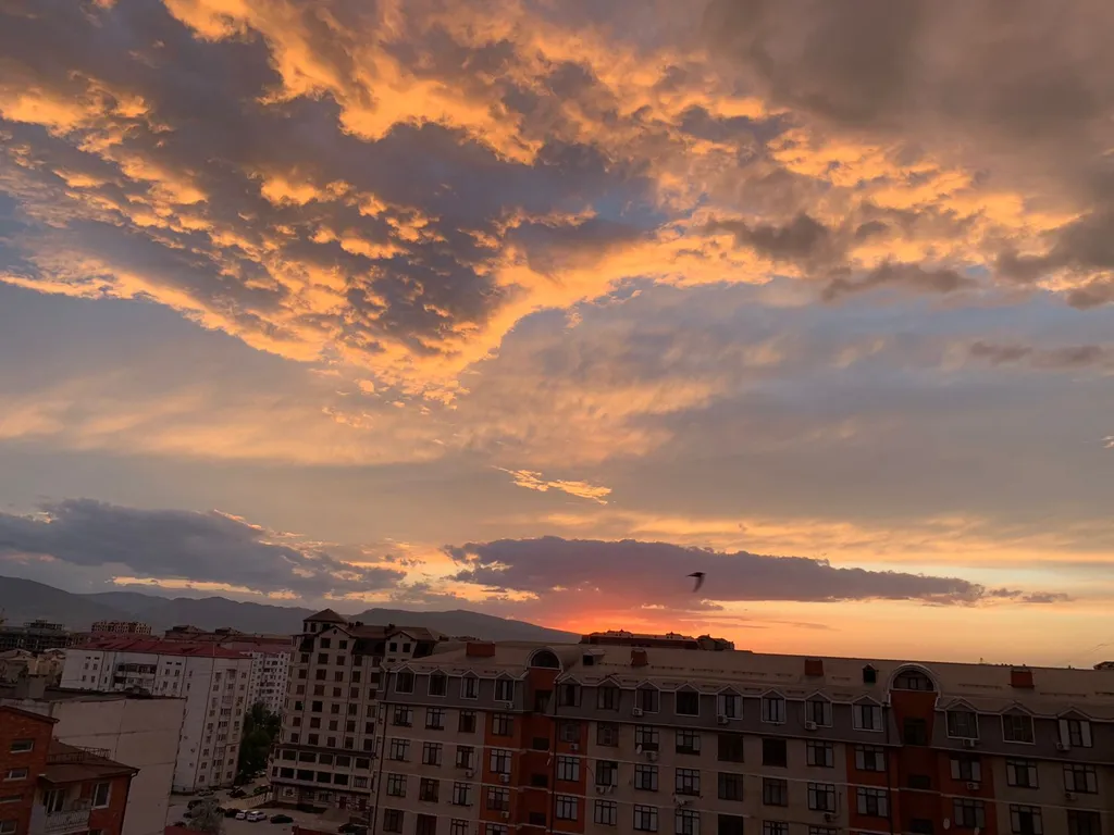 Уютная светлая квартира у моря с красивым видом из окон