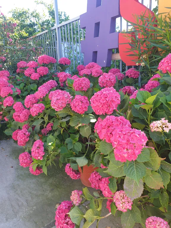 Дом на море