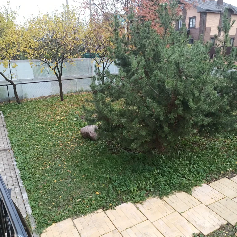 Коттедж Уютный дом с садом — Гатчина