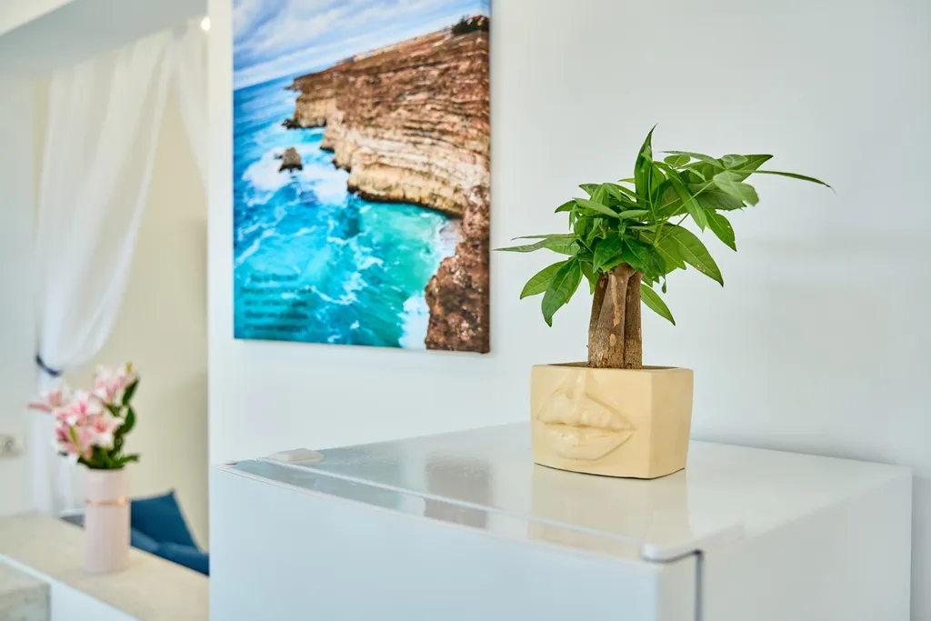 Квартира Снять Апартаменты на мысе Фиолент у моря в частном доме в Севастополе — Севастополь